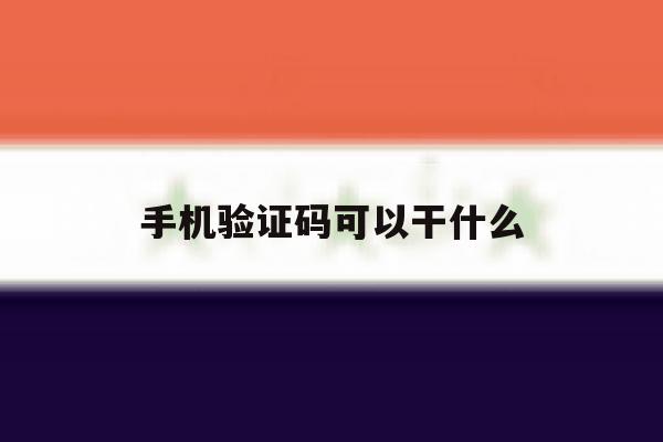 手机验证码可以干什么 手机验证码可以干什么