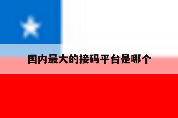 国内最大的接码平台是哪个 国内最大的接码平台是哪个