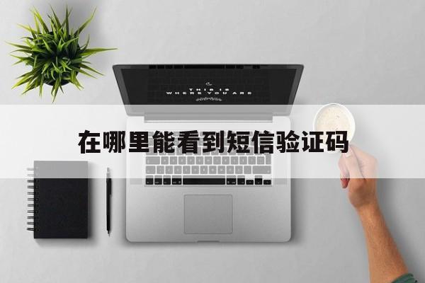在哪里能看到短信验证码 在哪里能看到短信验证码