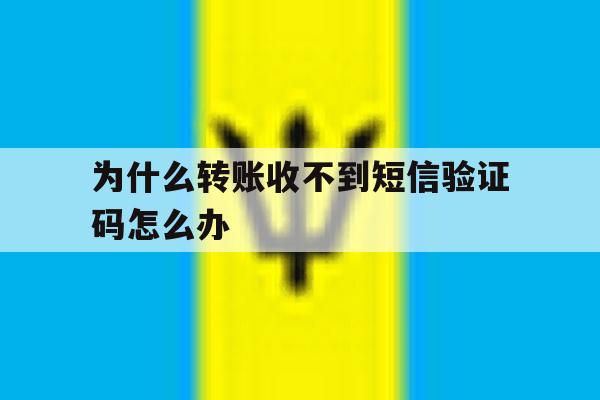 关于为什么转账收不到短信验证码怎么办的信息 关于为什么转账收不到短信验证码怎么办的信息