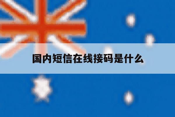 国内短信在线接码是什么 国内短信在线接码是什么