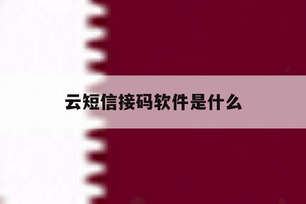 云短信接码软件是什么 云短信接码软件是什么