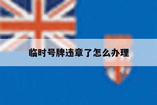 临时号牌违章了怎么办理 临时号牌违章了怎么办理