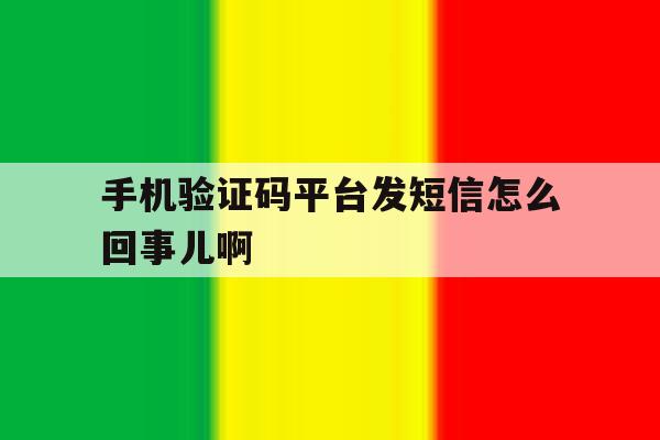 手机验证码平台发短信怎么回事儿啊 手机验证码平台发短信怎么回事儿啊