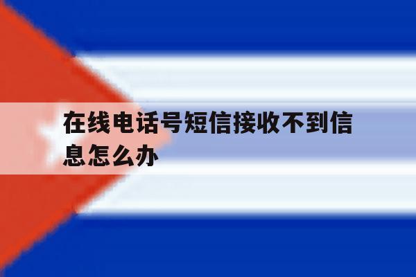 在线电话号短信接收不到信息怎么办 在线电话号短信接收不到信息怎么办