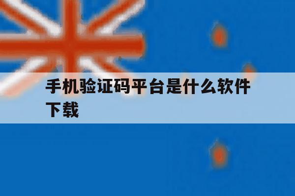手机验证码平台是什么软件下载 手机验证码平台是什么软件下载