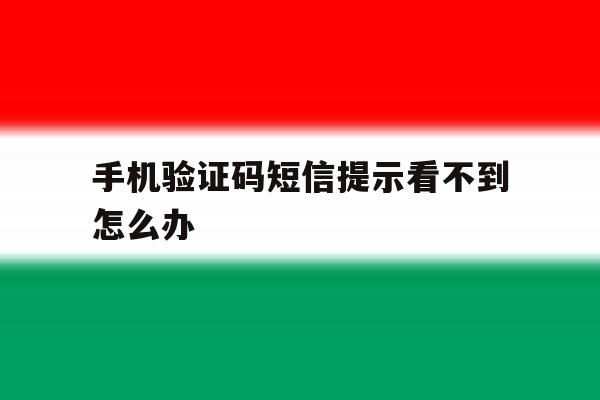 手机验证码短信提示看不到怎么办 手机验证码短信提示看不到怎么办