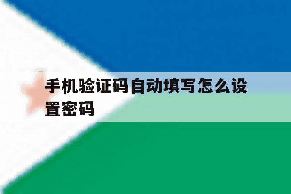 手机验证码自动填写怎么设置密码 手机验证码自动填写怎么设置密码