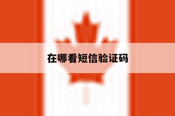 在哪看短信验证码 在哪看短信验证码