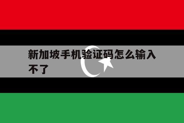 新加坡手机验证码怎么输入不了 新加坡手机验证码怎么输入不了