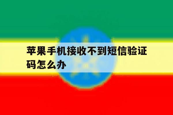 苹果手机接收不到短信验证码怎么办 苹果手机接收不到短信验证码怎么办