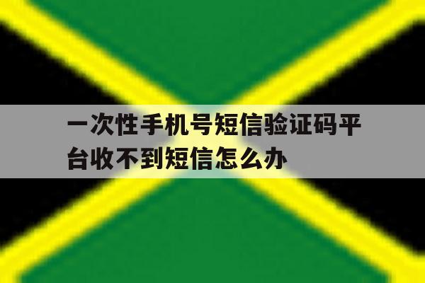 一次性手机号短信验证码平台收不到短信怎么办的简单介绍 一次性手机号短信验证码平台收不到短信怎么办的简单介绍
