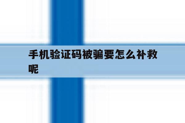 手机验证码被骗要怎么补救呢 手机验证码被骗要怎么补救呢