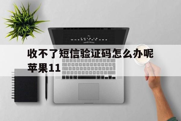 收不了短信验证码怎么办呢苹果11 收不了短信验证码怎么办呢苹果11