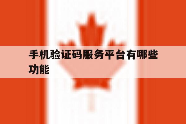 手机验证码服务平台有哪些功能的简单介绍 手机验证码服务平台有哪些功能的简单介绍