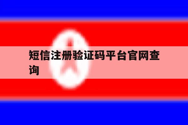 短信注册验证码平台官网查询