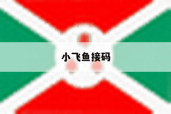 小飞鱼接码 小飞鱼接码