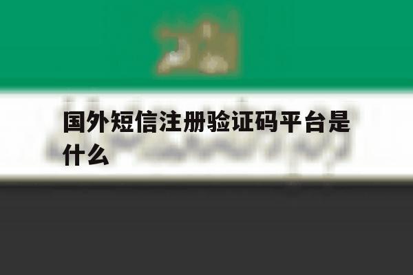 国外短信注册验证码平台是什么 国外短信注册验证码平台是什么