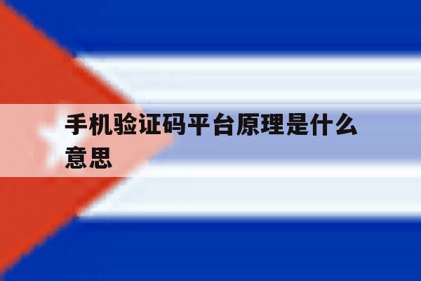 手机验证码平台原理是什么意思 手机验证码平台原理是什么意思
