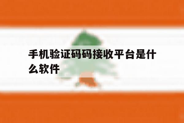 手机验证码码接收平台是什么软件 手机验证码码接收平台是什么软件
