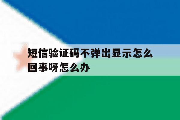 短信验证码不弹出显示怎么回事呀怎么办 短信验证码不弹出显示怎么回事呀怎么办