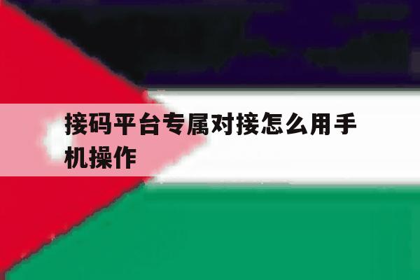 接码平台专属对接怎么用手机操作 接码平台专属对接怎么用手机操作