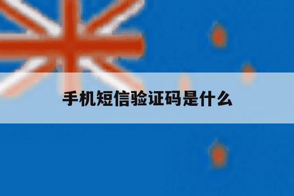 手机短信验证码是什么 手机短信验证码是什么