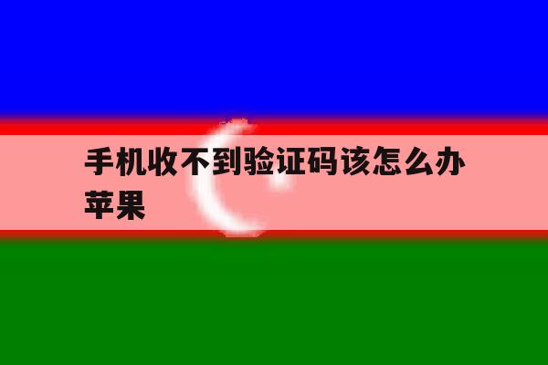 手机收不到验证码该怎么办苹果 手机收不到验证码该怎么办苹果