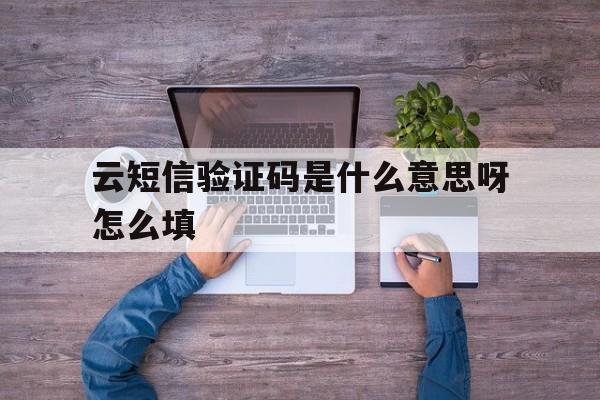 云短信验证码是什么意思呀怎么填 云短信验证码是什么意思呀怎么填