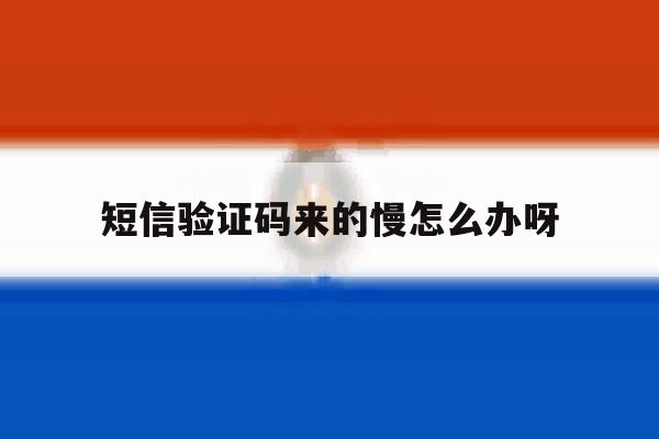 短信验证码来的慢怎么办呀 短信验证码来的慢怎么办呀