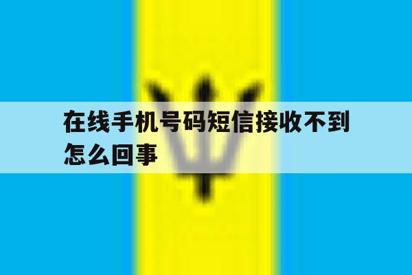 在线手机号码短信接收不到怎么回事 在线手机号码短信接收不到怎么回事